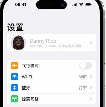 荥经appleID维修服务iPhone设置中Apple ID显示为灰色无法使用