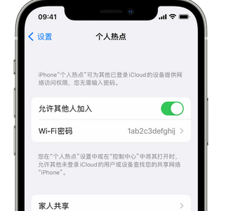 荥经apple服务站点分享iPhone上个人热点丢失了怎么办