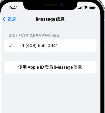 荥经apple维修iPhone上无法正常发送iMessage信息 