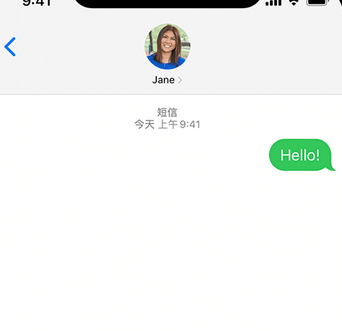 荥经apple维修iPhone上无法正常发送iMessage信息