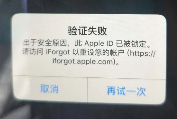 荥经iPhone维修分享iPhone上正常登录或使用AppleID怎么办 