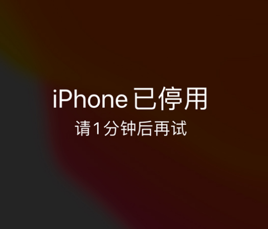 荥经苹果手机维修分享:iPhone 显示“不可用”或“已停用”怎么办？还能保留数据吗？ 