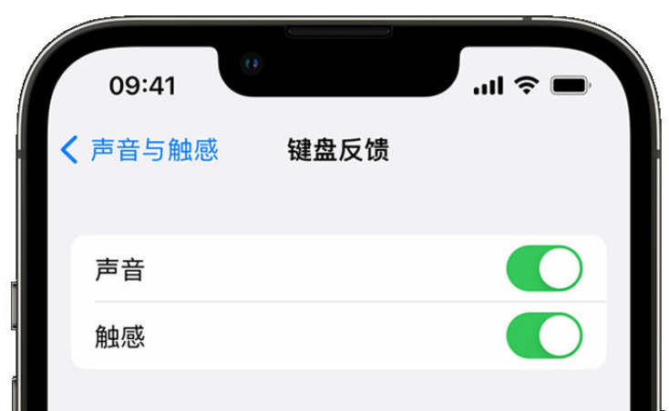 荥经苹果手机维修分享iPhone 14触感键盘使用方法 