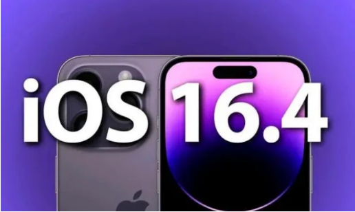 荥经苹果14维修分享：iPhone14可以升级iOS16.4beta2吗？ 