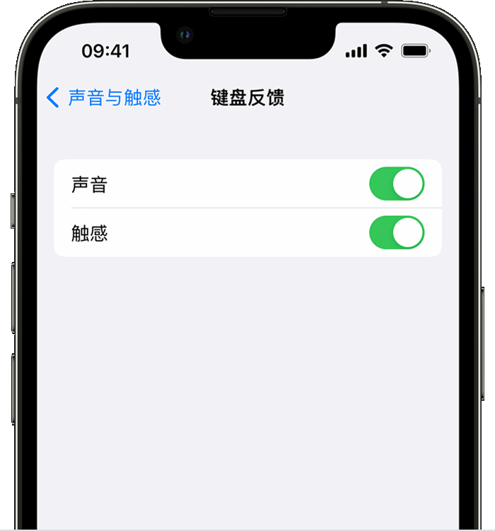 荥经苹果14维修店分享如何在 iPhone 14 机型中使用触感键盘 