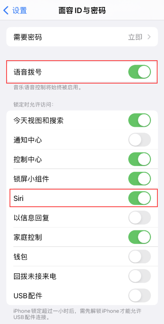 荥经苹果维修网点分享不解锁 iPhone 的情况下通过 Siri 拨打电话的方法 