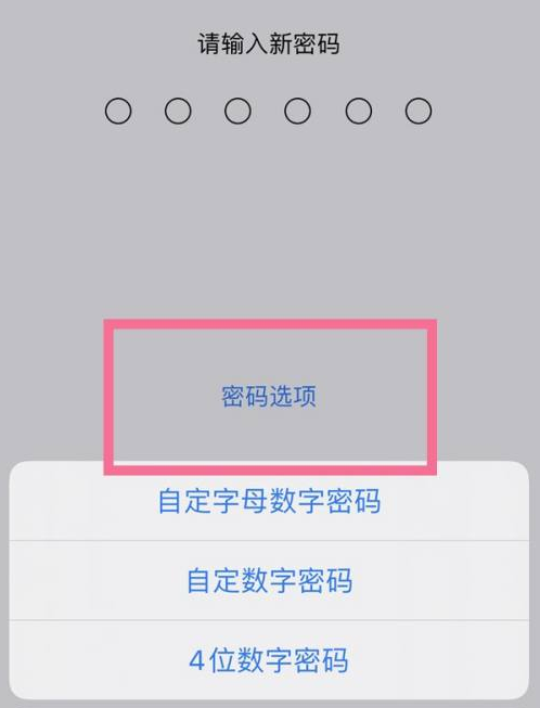 荥经苹果14维修分享iPhone 14plus设置密码的方法 