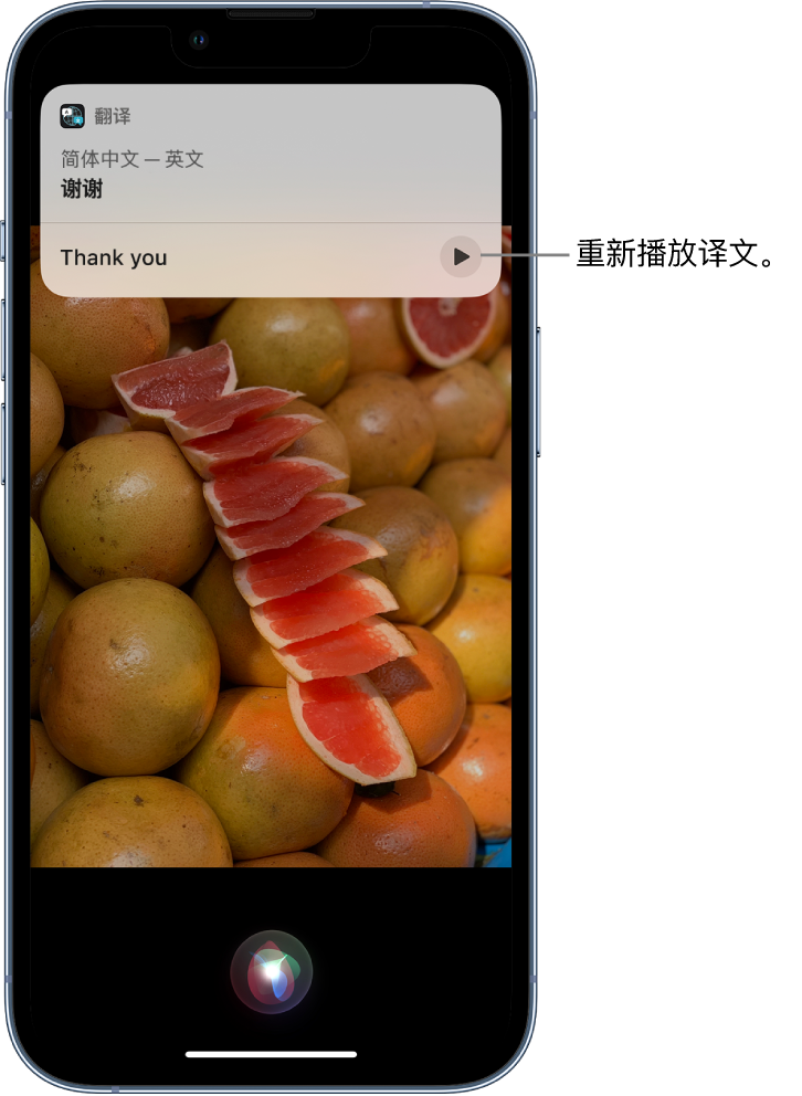 荥经苹果14维修分享 iPhone 14 机型中使用 Siri：了解 Siri 能帮你做什么 