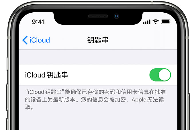 荥经苹果手机维修分享在 iPhone 上开启 iCloud 钥匙串之后会储存哪些信息 