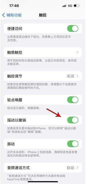 荥经苹果手机维修分享iPhone手机如何设置摇一摇删除文字 