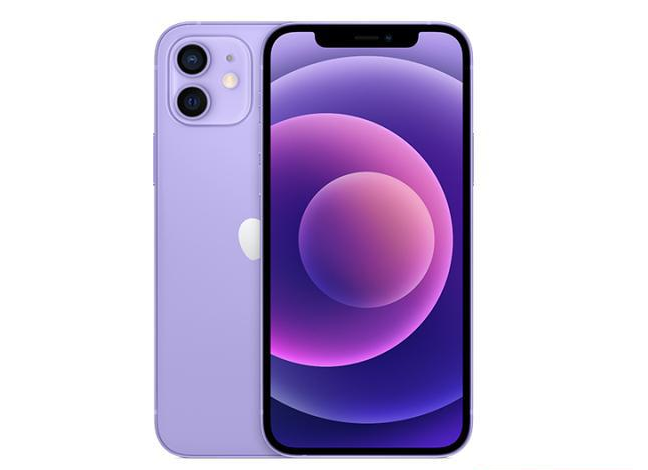 荥经苹果手机维修分享现阶段要不要入手紫色版iPhone12 