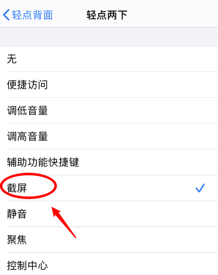 荥经苹果手机维修分享iPhone12如何启用双击截屏 